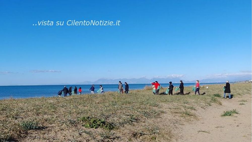 22122021 giglio d amare 22122021 giglio d amare