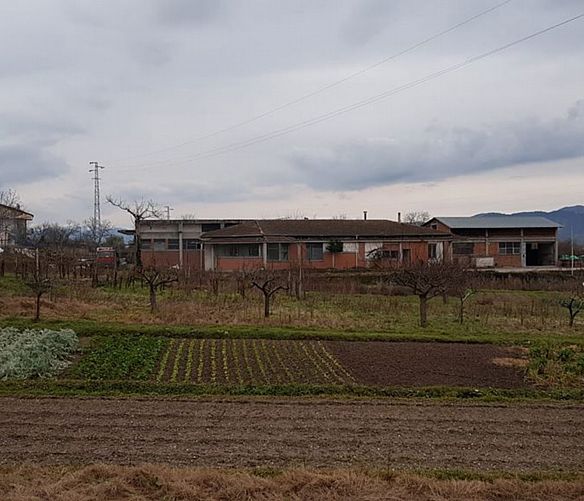 23012019 EX MATTATOIO SAN GIOVANNI