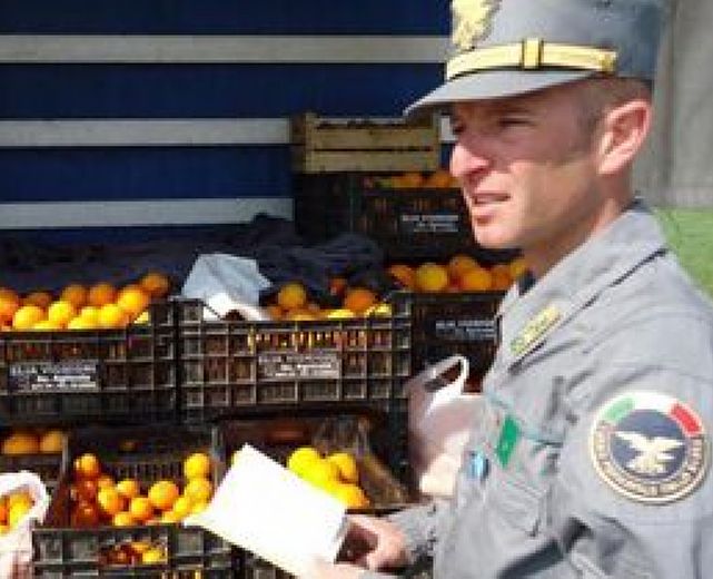 23022015 seq forestale 23022015 seq forestale