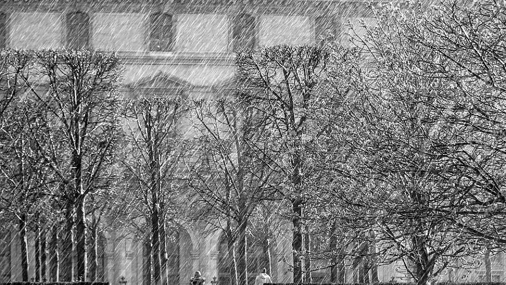 23022018 cold wind freddo gelido