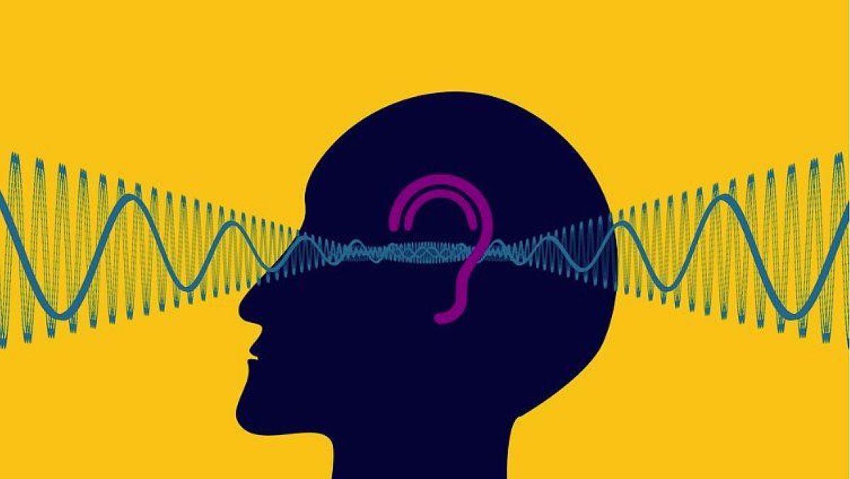 23022024 udito 23022024 udito