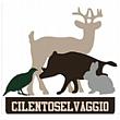 Paesi del Cilento - Le ultime  Notizie foto - 23042026 logo cilentoselvaggio