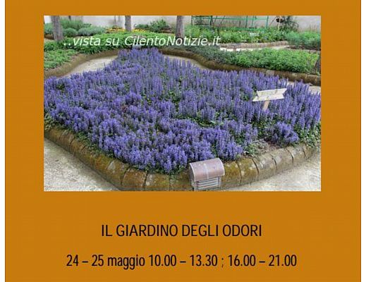 23052014 il giardino degli odori