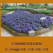 Spettacoli-eventi foto - 23052014 il giardino degli odori