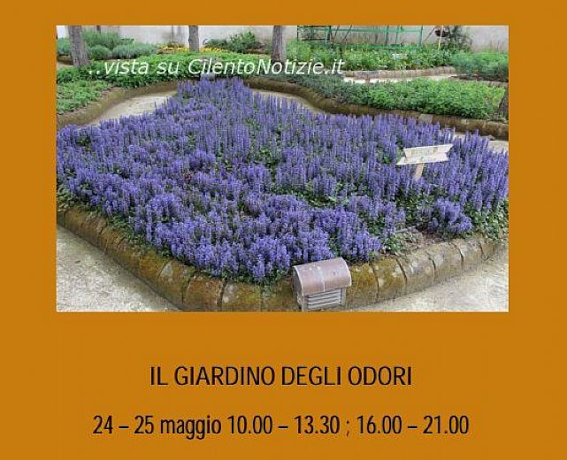 23052014 il giardino degli odori