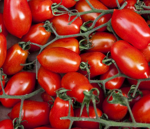 23052016 pomodori