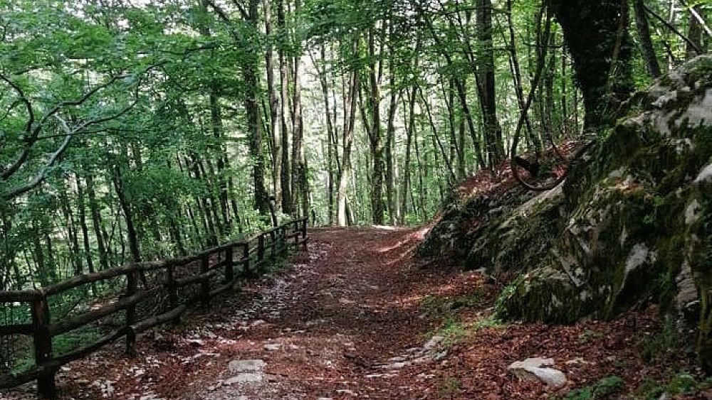 23052020 Sentiero Italia 3