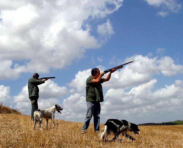 23062014 calendario venatorio