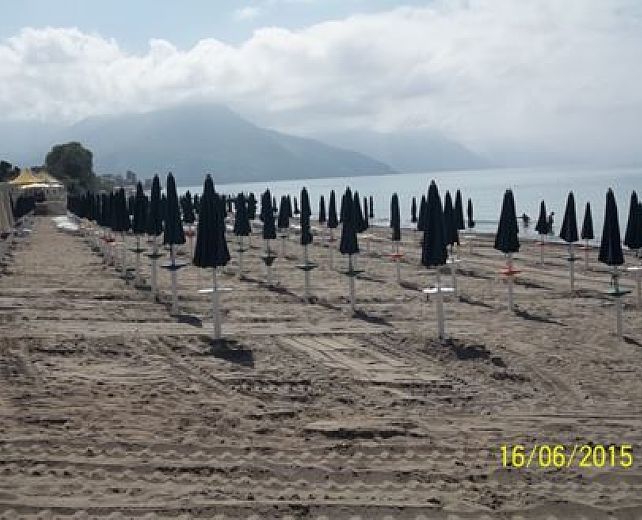 23062015 art abbate 23062015 art abbate