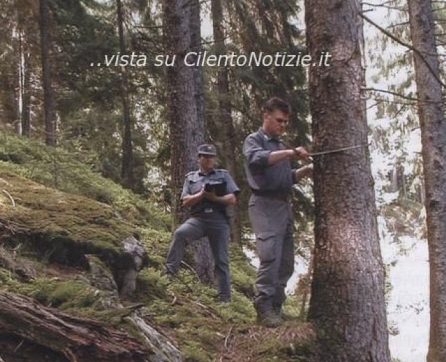 23072013 forestale controlli