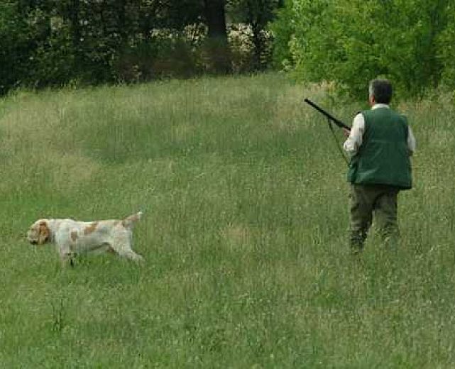 23082013 cane cacciatori