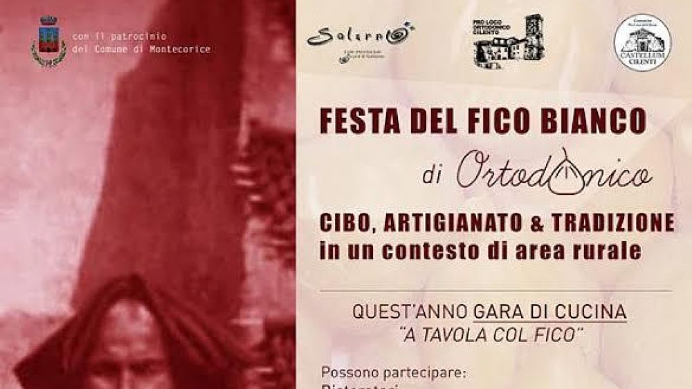 23082016 locandina fico bianco