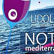 Spettacoli-eventi foto - 23082017 notti med