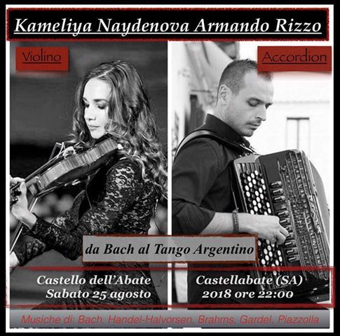 duo violino fisarmonica