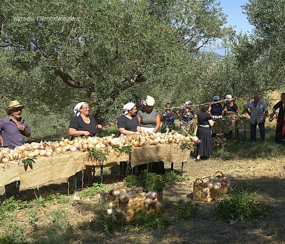 23082021 cipolla di vatolla