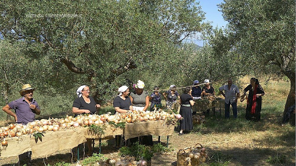 23082021 cipolla di vatolla