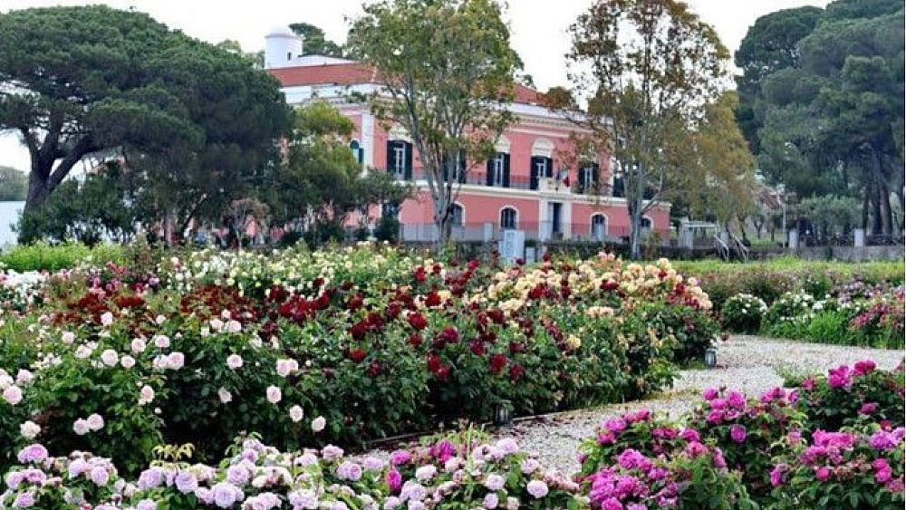 23082023 villa matarazzo fiori