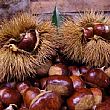 Spettacoli-eventi foto - 23092013 castagne marroni igp