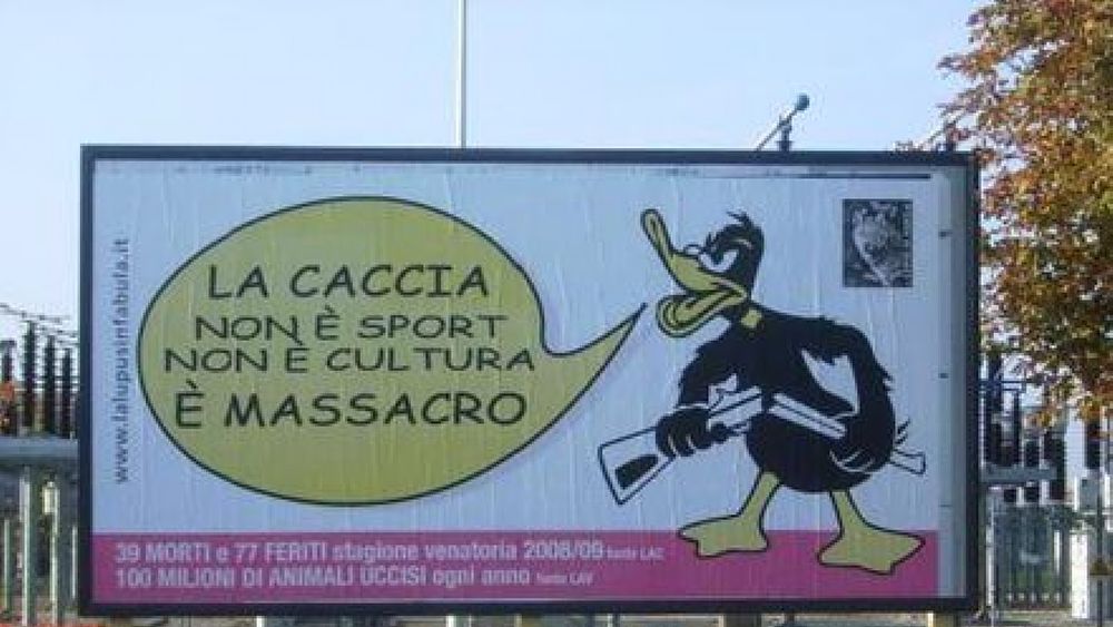 23092016 art caccia abbate 23092016 art caccia abbate