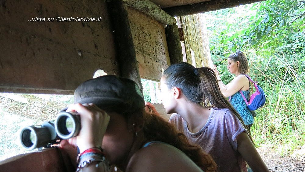 23092020 universita in foresta