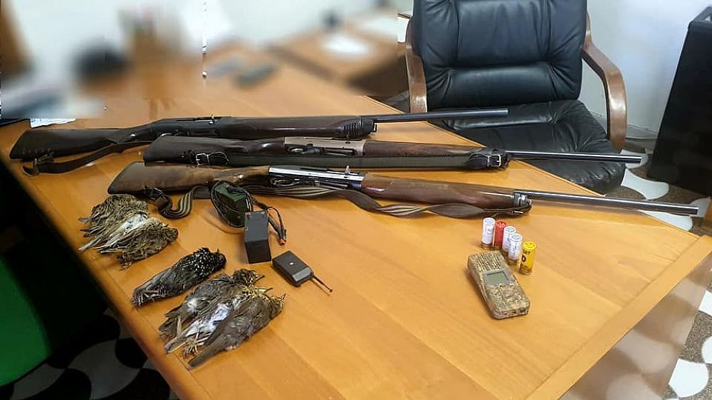 23102019 73364107 10220941209830576 173270345204105216 n