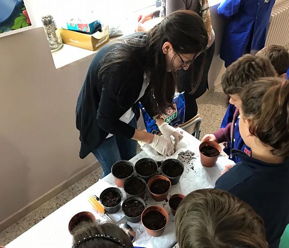 23112016 lavoretti scuola