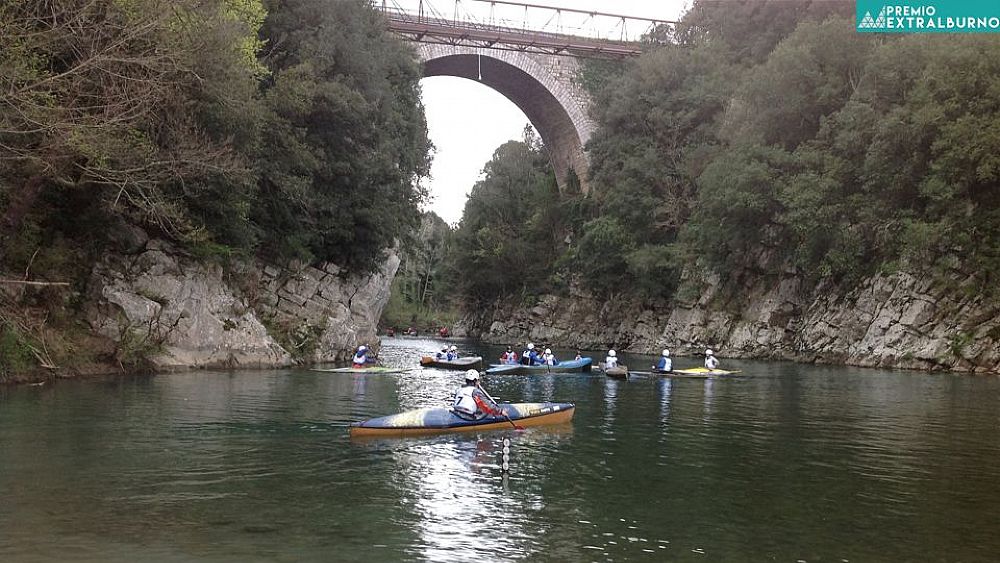 23112016 premioextralburno