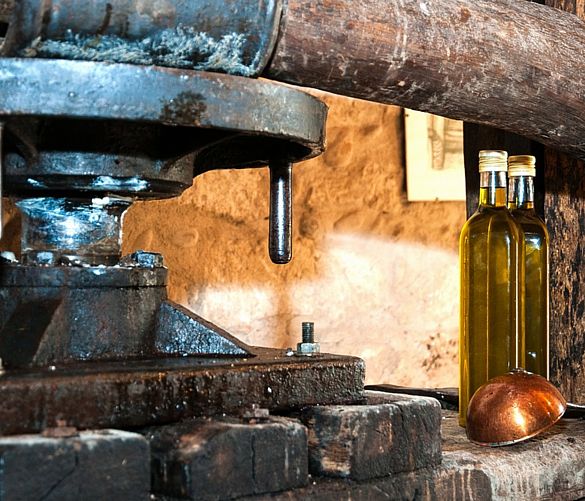 23112017 produzione antica olio d oliva