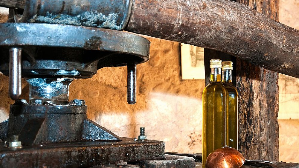 23112017 produzione antica olio d oliva