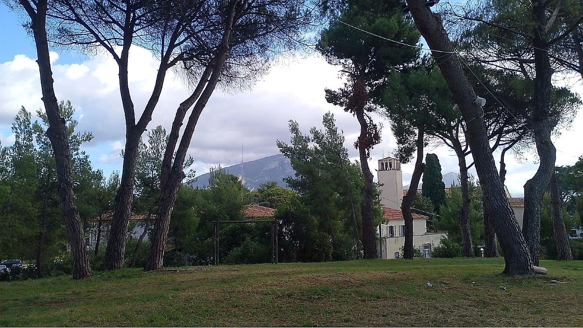 23112024 capaccio collinetta 23112024 capaccio collinetta