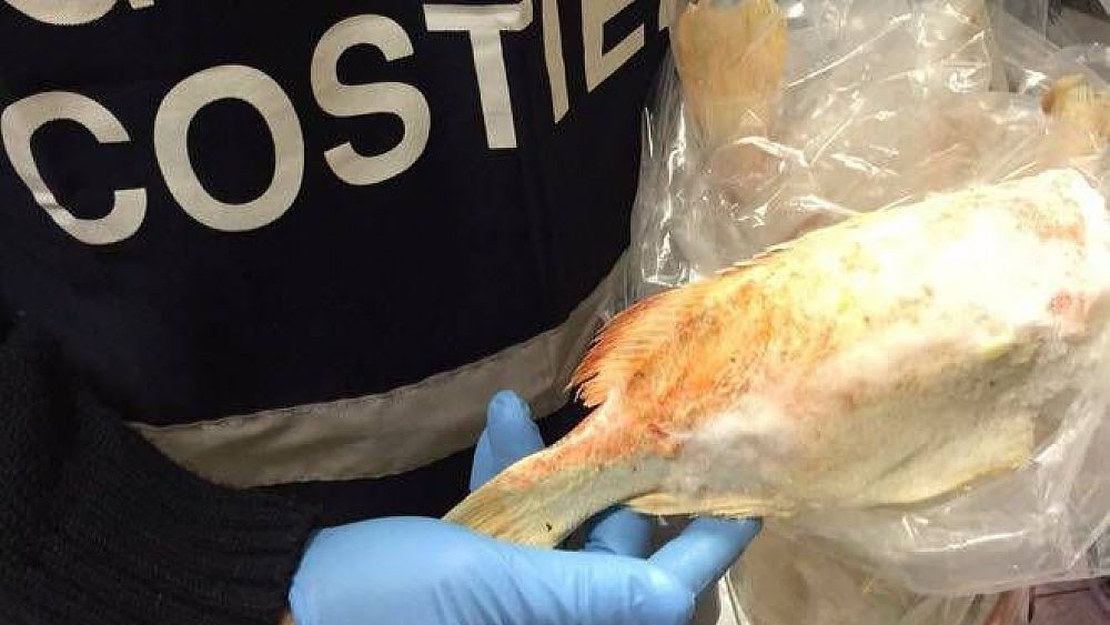 23122018 sequestro pesce