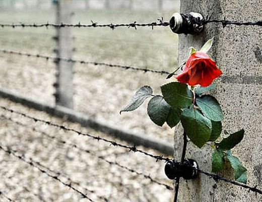 24012014 gionata della memoria