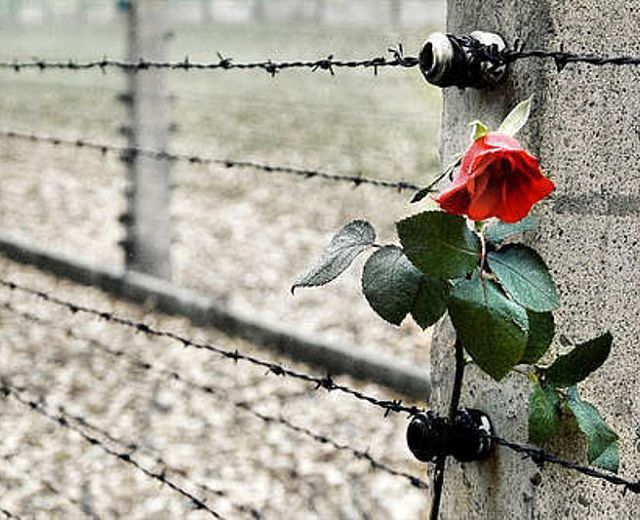 24012014 gionata della memoria