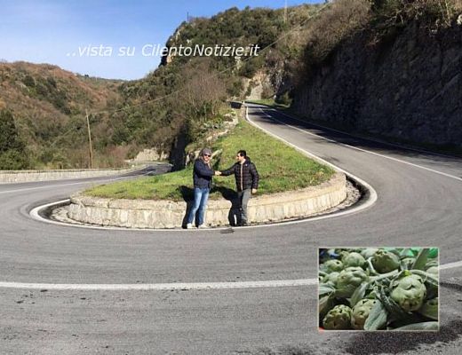 24012016 stretta di mano sul carciofo cilento
