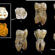 Marina di Camerota Notizie foto - 24012026 neanderthal archeologia camerota