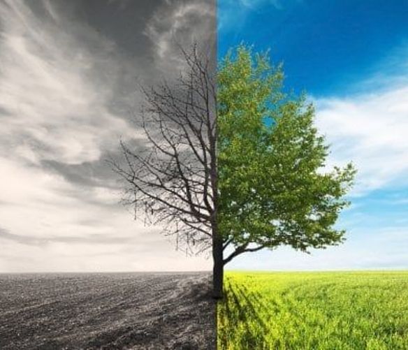 24022021 cambiamento climatico