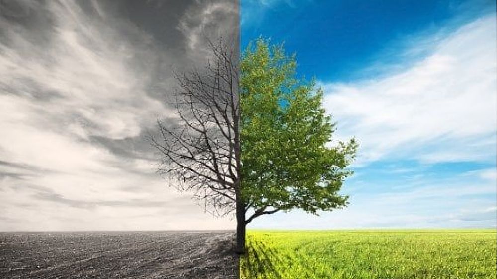 24022021 cambiamento climatico