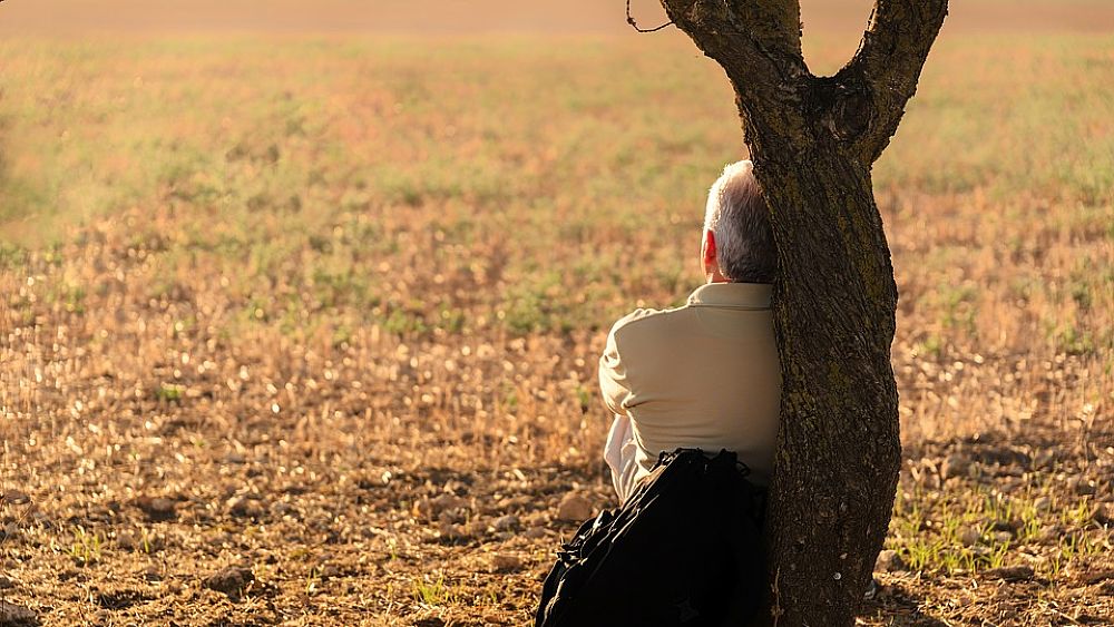 24032017 uomo e natura