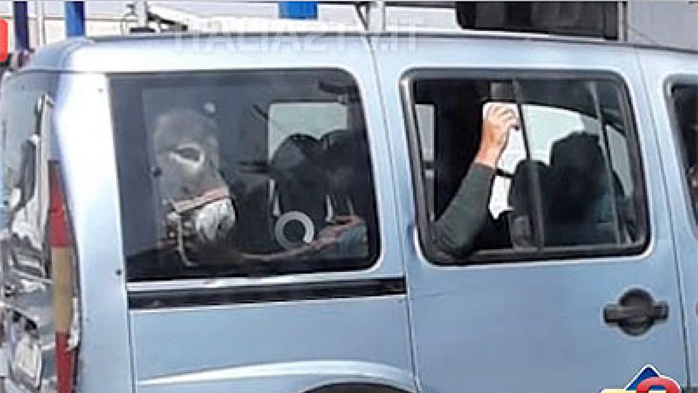 24042019 asino al casello