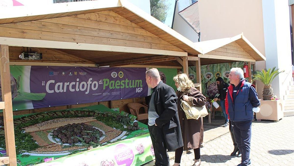 24042024 stand carciofo 24042024 stand carciofo