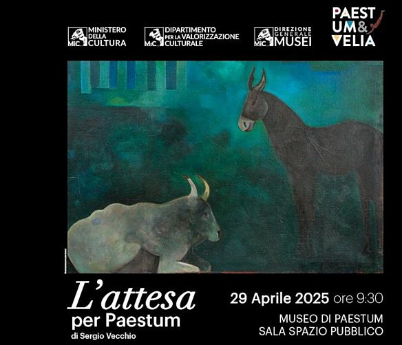 24042025 l attesa per paestum
