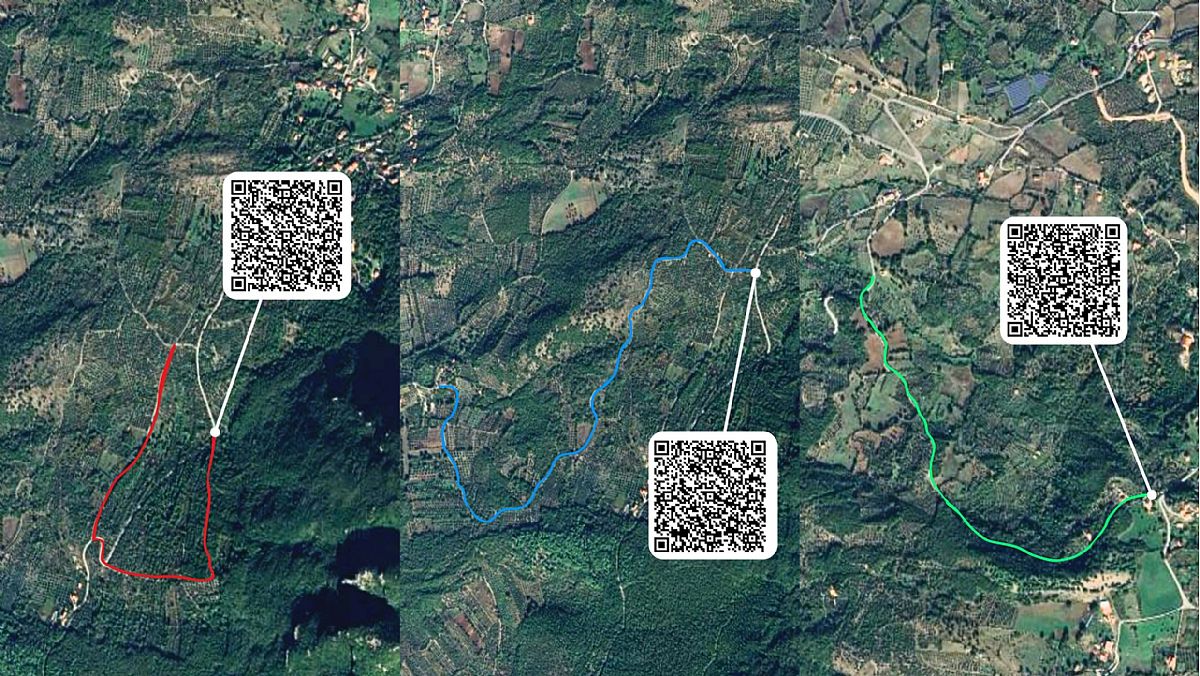 24042025 la via degli ulivi