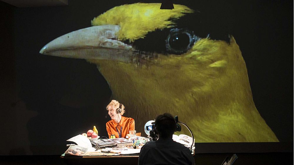 24052016 teatro mutaverso