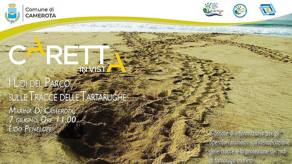 24052021 locandina caretta caretta 24052021 locandina caretta caretta