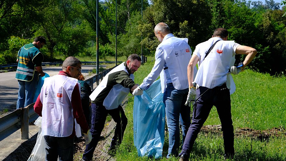 24052023 mutti raccolta rifiuti oliveto citra 1 24052023 mutti raccolta rifiuti oliveto citra 1