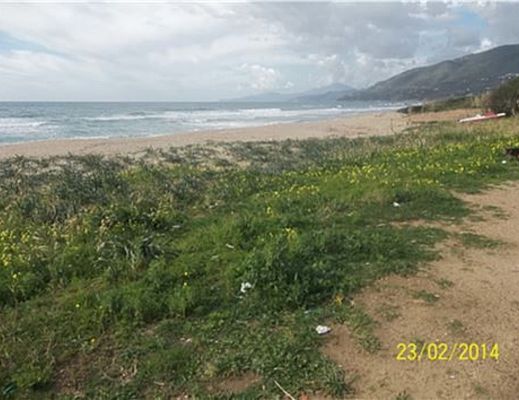 24062014 area dunale palinuro