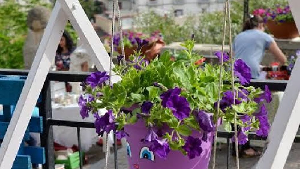 24062016 borgo in fiore agropoli