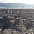 Marina di Camerota Notizie foto - 24062019 tartaruga caretta caretta spiaggia