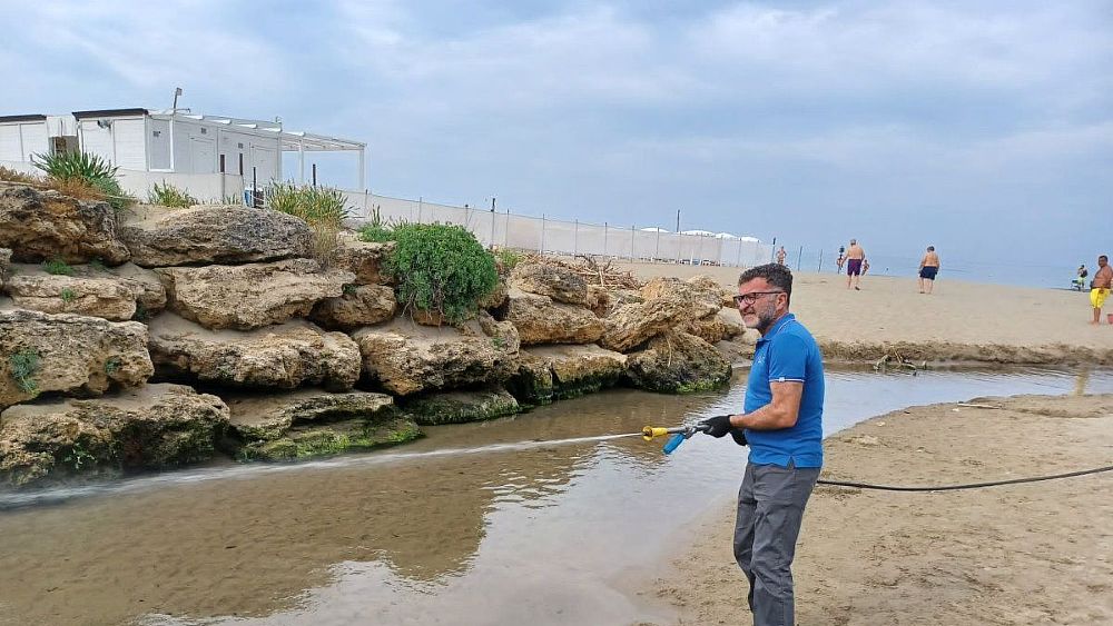 24062023 somministrazione dei bioattivatori 24062023 somministrazione dei bioattivatori