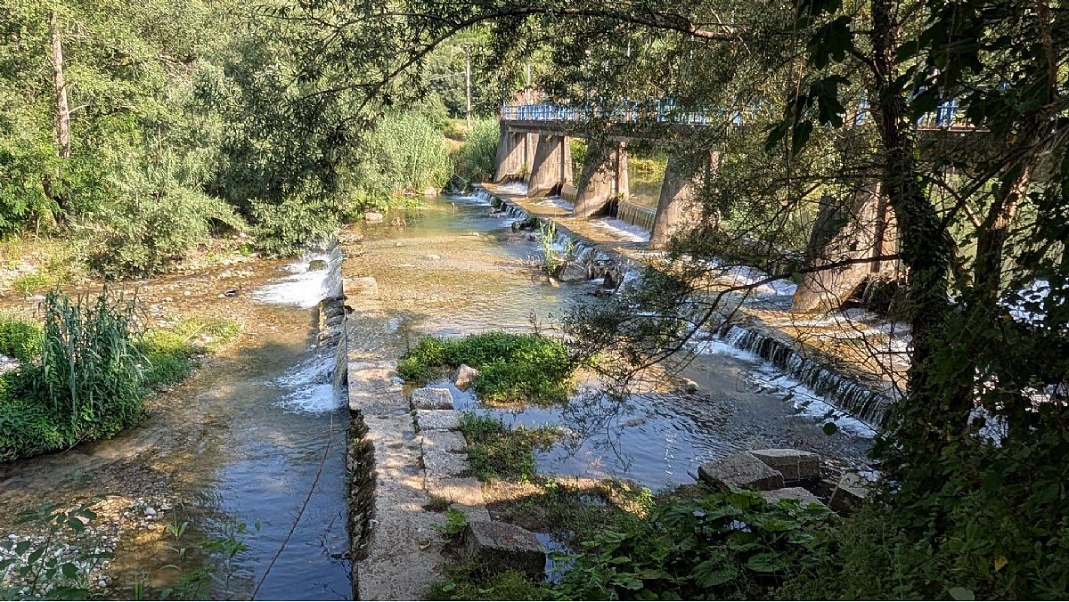 24062025 permablitz sul tusciano 24062025 permablitz sul tusciano